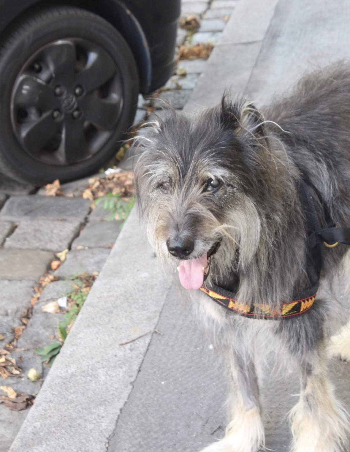 Bild 11