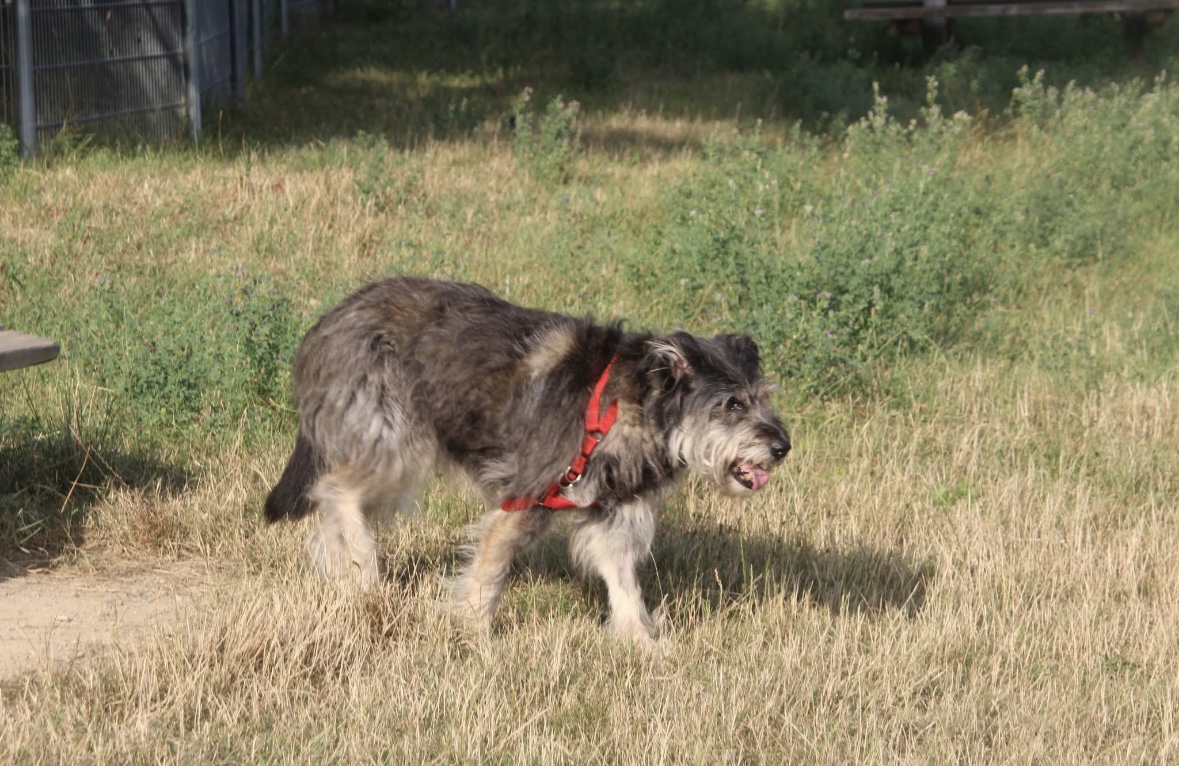 Bild 12